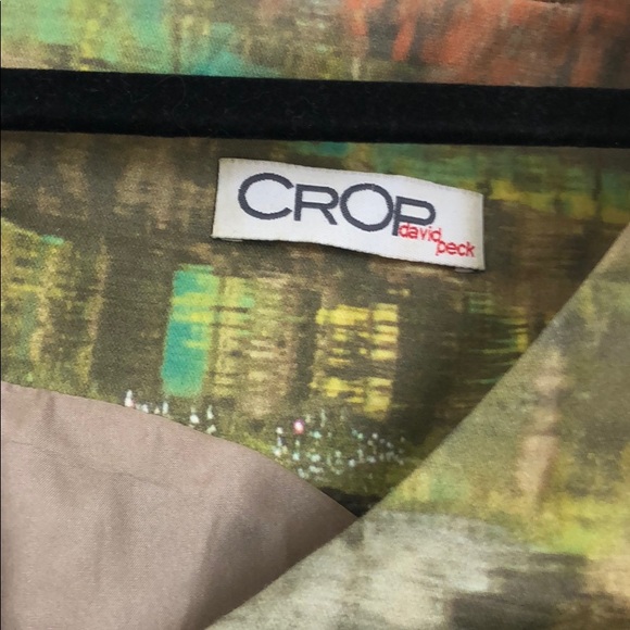 Size 2 printed pleat dress with cap sleeves - Picture 2 of 2